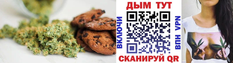 Купить закладки  Нижняя Тура  Canna-Cookies марихуана 