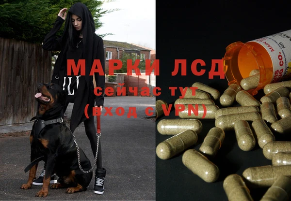 кокаин VHQ Заводоуковск